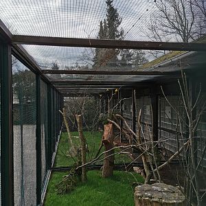 Parrot/parakeet aviaries