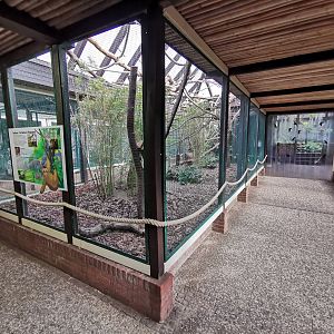 Sloth enclosure in Pukara