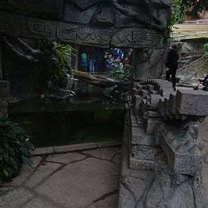 Cuban crocodile enclosure