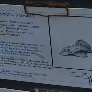 Amazon tank signage detail; something's off...