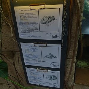 Amazon tank signage
