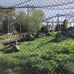 Rotterdam Zoo- polar fox enclsoure- 2022