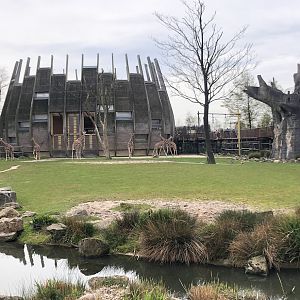 Rotterdam Zoo- giraffe enclosure- 2022
