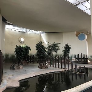 Rotterdam Zoo- pygmy hippo indoor enclosure- 2022