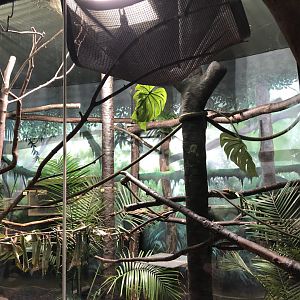 Third exhibit in the South America primate wing