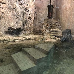 Indoor River Otter Exhibit
