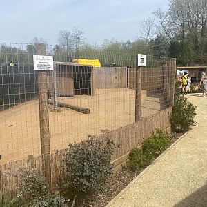 Australian section, general view