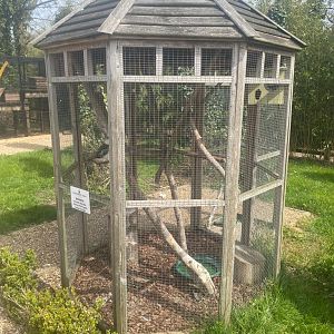 Kookaburra Cage