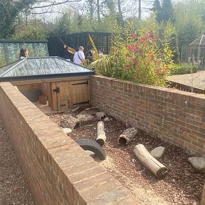 Three Banded Armadillo Enclosure