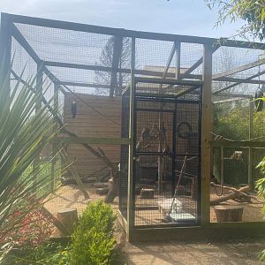 Squirrel Monkey, Agouti & Cuban Hutia Enclosure