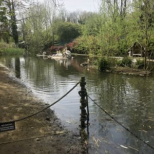 Walkthrough Pelican Enclosure