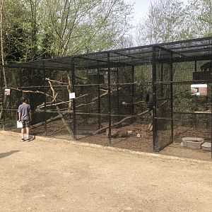 Coati and Macaw Cage