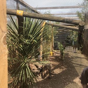 One of two Fossa Enclosures