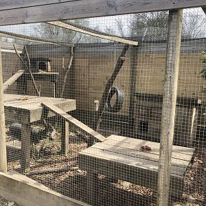 Striped Skunk and Racoon Enclosure