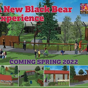 Black Bear Renovation Concept