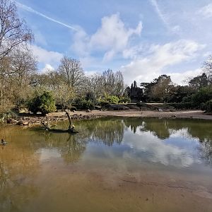 The empty duck pond