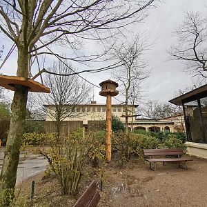 Climbing area for bearded emperor tamarins