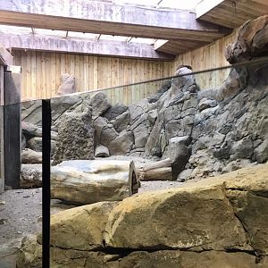Meerkat enclosure