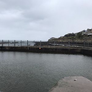 Common seal enclosure