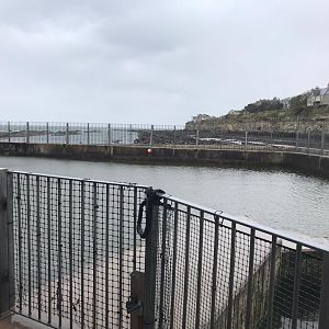 Common seal enclosure (2)