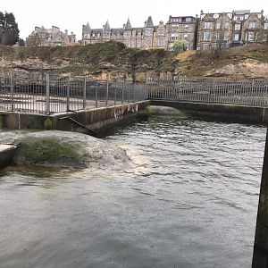 Common seal enclosure (3)