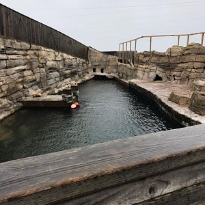 Humboldt penguin enclosure