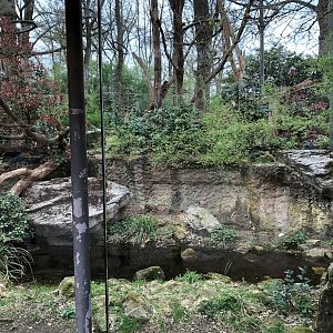 Burgers' Zoo- viewing into the amur leopard enclosure- 2022