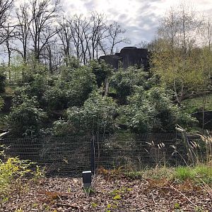 Burgers' Zoo- Sumatran tiger enclosure. 2022