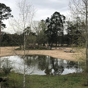 Burgers' Zoo- view onto African savannah- 2022