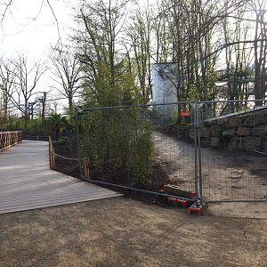 Orangutan project construction update 2022-04-12 - New wooden walkway and visitor area now opened