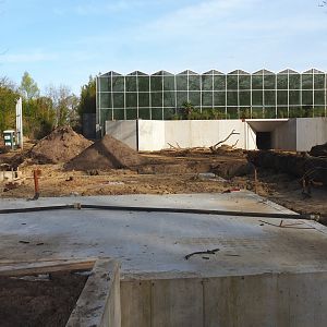 Orangutan project construction update 2022-04-12 - Construction of large island on elephant side