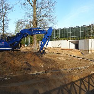 Orangutan project construction update 2022-04-12 - Construction of large island on elephant side