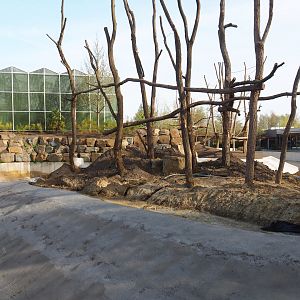 Orangutan project construction update 2022-04-12 - Construction of second smaller island