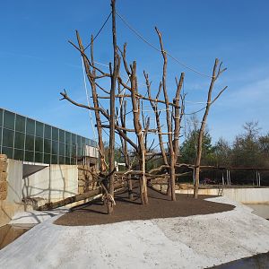 Orangutan project construction update 2022-04-12 - Construction of second large island between greenhouse and restaurant