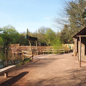 View in the Australian area, showing partially renovated small animal house on the left and new walkway on the right, 2022-04-12