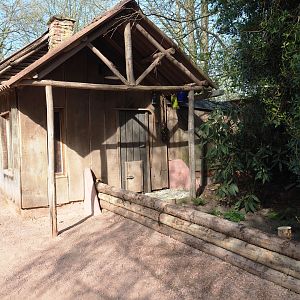 Former Short-beaked echidna exhibit and house, 2022-04-12