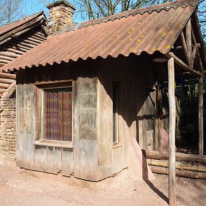 Former Short-beaked echidna house, 2022-04-12