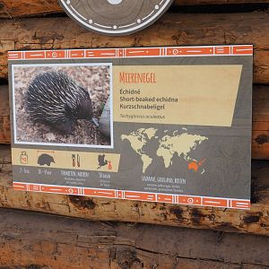 Signage Short-beaked echidna, 2022-04-12