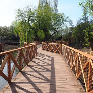 New walkway above the pond, alongside cassowary exhibits, 2022-04-12