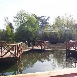 New play area above the pond, 2022-04-12