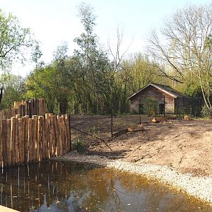 First and second renovated Double-wattled cassowary exhibits, 2022-04-12