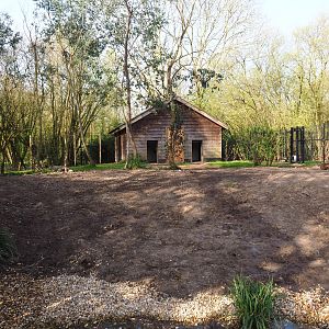 Second renovated Double-wattled cassowary exhibit, 2022-04-12