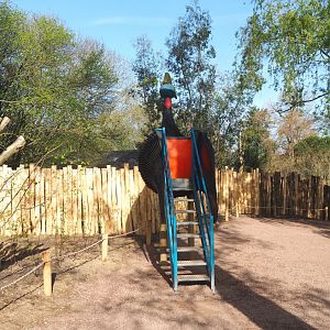 Giant cassowary viewing point in new location, 2022-04-12