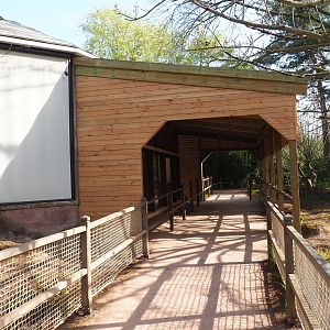 Renovated koala viewing area, 2022-04-12