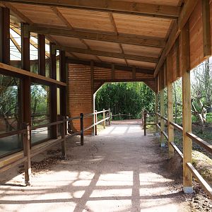 Renovated koala viewing area, 2022-04-12
