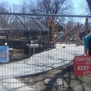 Black Bear Construction