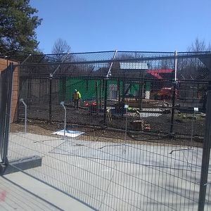 Black Bear Construction