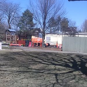 Black Bear Construction