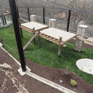 Amur Leopard Exhibit