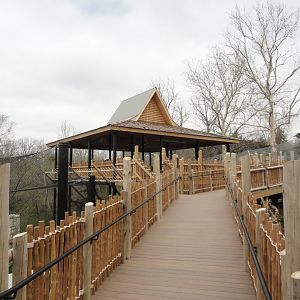 Expedition Asia Deck Walkway